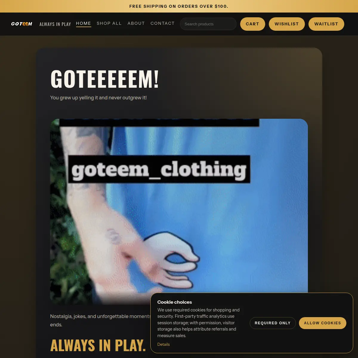 Preview of the Goteem Clothing website